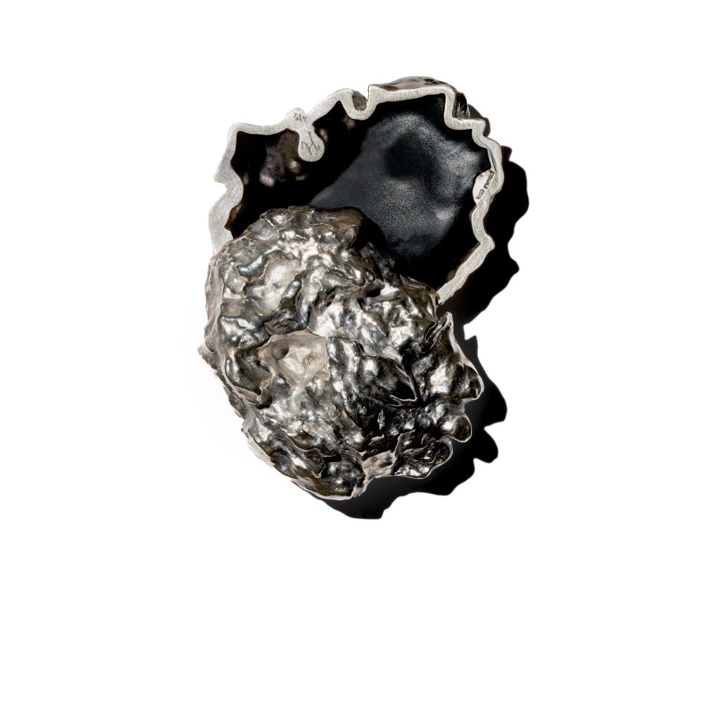 SILVER SLEEPER
